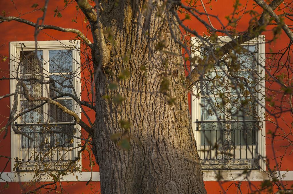 Casona De La Paca Otel Cudillero Dış mekan fotoğraf